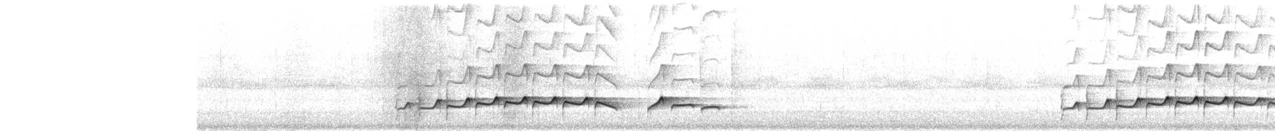 Gelbbürzel-Attilatyrann [flammulatus-Gruppe] - ML649470842