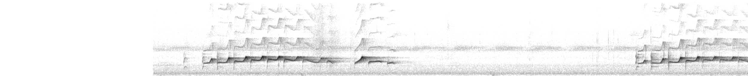 Gelbbürzel-Attilatyrann [flammulatus-Gruppe] - ML649470843