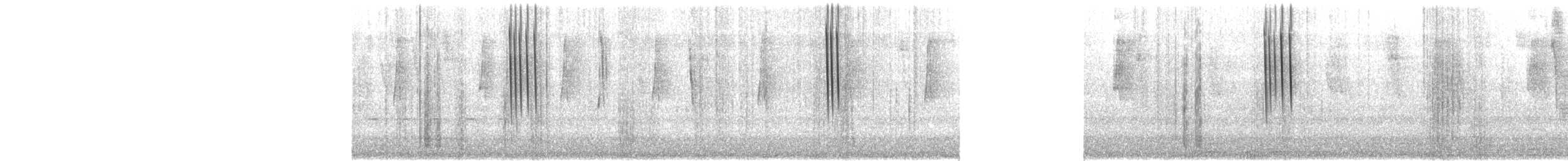 Violettdegenflügel - ML649470854