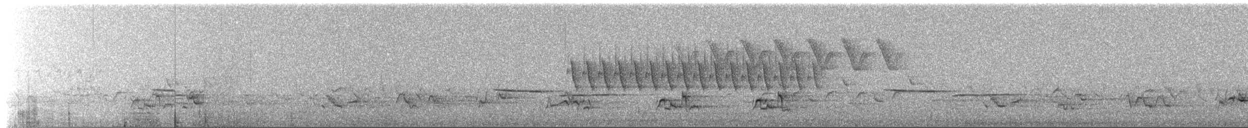 American Robin - ML649472538