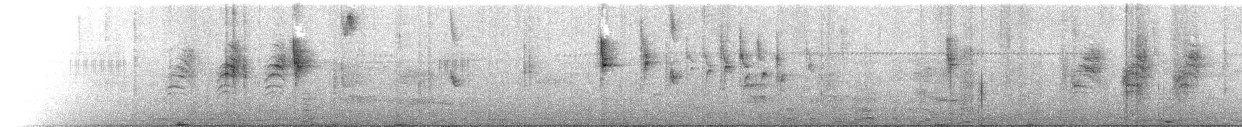 White-browed Gnatcatcher - ML649473679