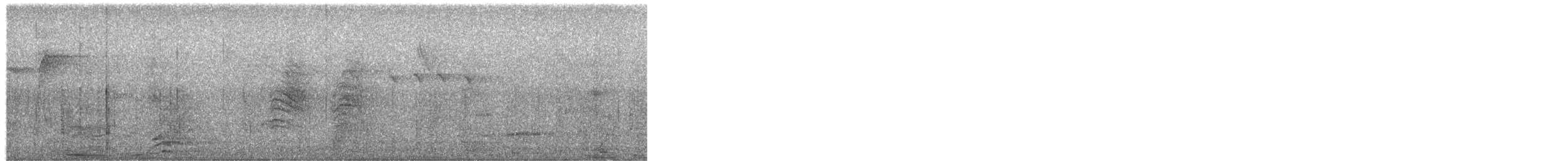 White-browed Gnatcatcher - ML649474452