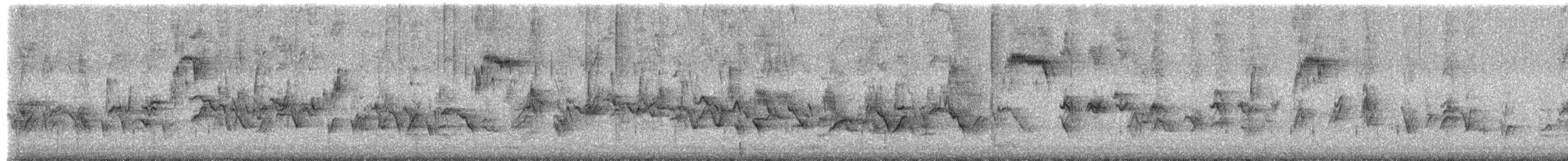 House Finch - ML649474830