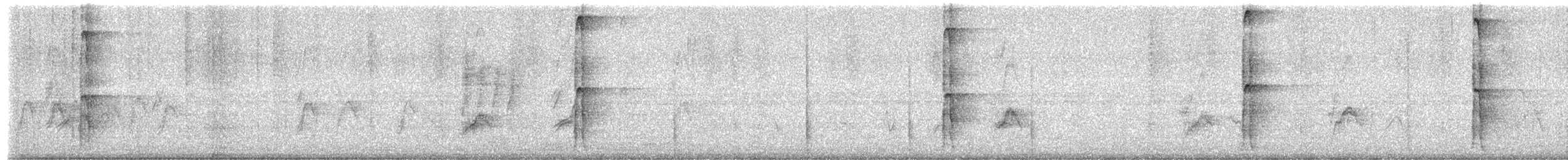 Hairy Woodpecker - ML649474967