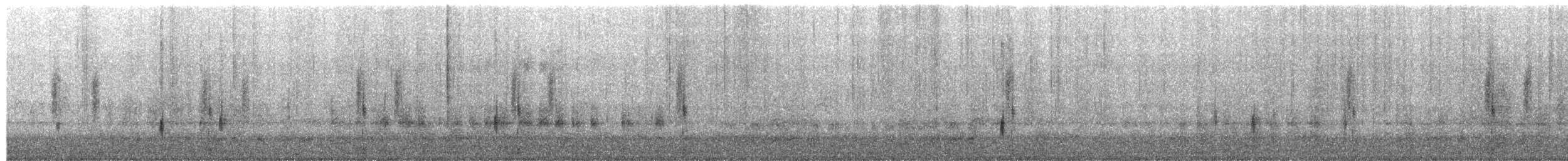 琵嘴鴨 - ML649476166