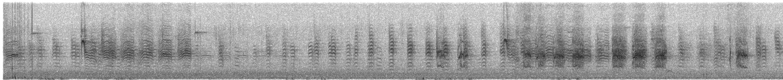 sýkora černohlavá - ML649478607