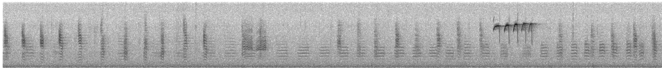 brhlík americký - ML649478639