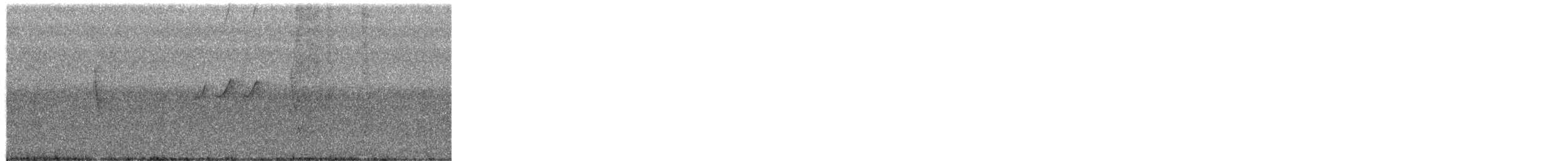 Solitary Sandpiper - ML649479201