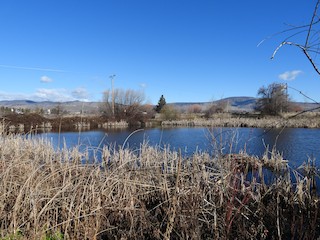 Wingwatchers Lake Ewauna Nature Trail, Klamath, Oregon, United States ...
