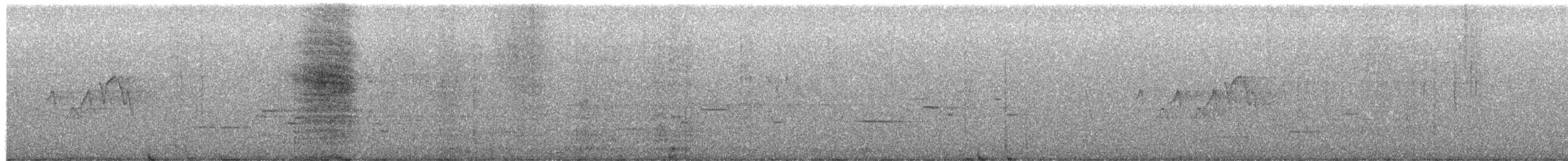 Magnolia Warbler - ML649481243