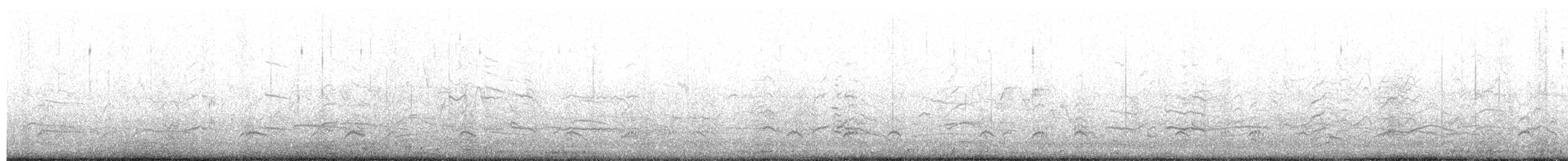 Black-necked Stilt - ML649481269