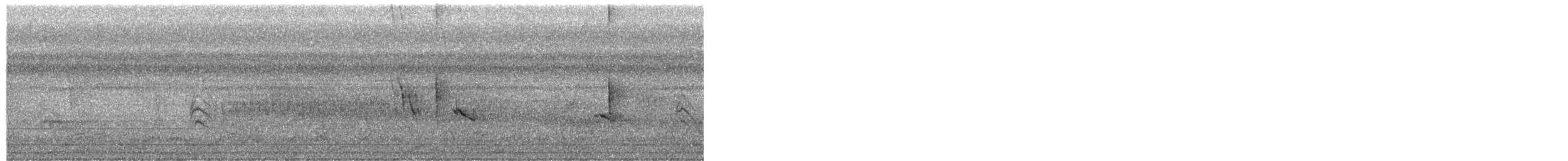 White-throated Crake - ML649481287