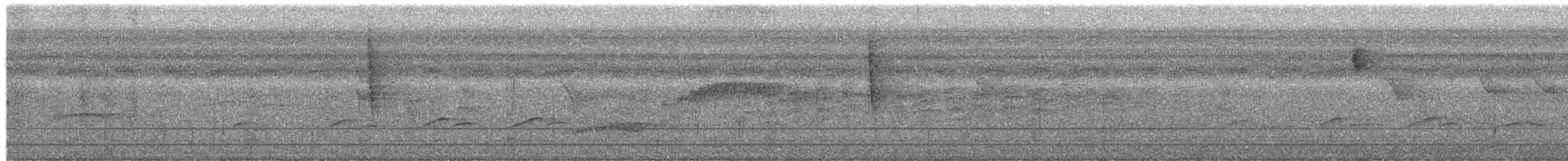 Bright-rumped Attila - ML649481444