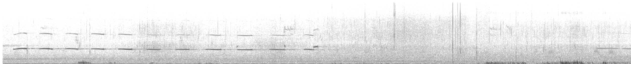 Magellanic Oystercatcher - ML649481573