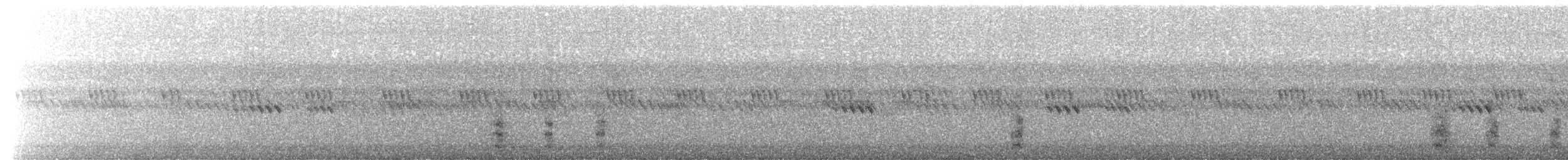 Short-eared Owl - ML649481809