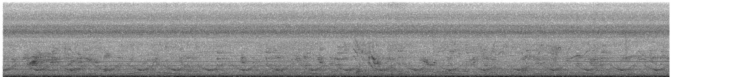 Pale-vented Pigeon - ML649481817