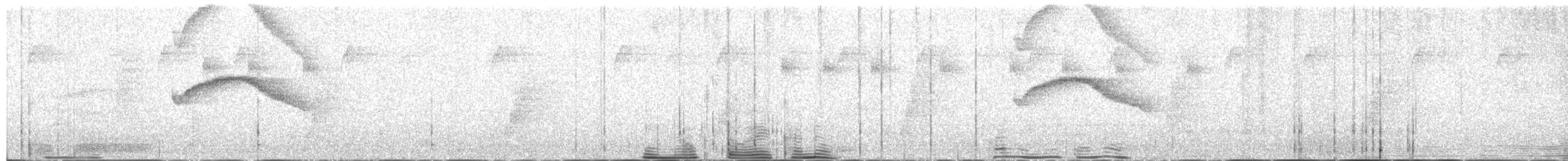 Chestnut-bellied Chat-Tyrant - ML649482121