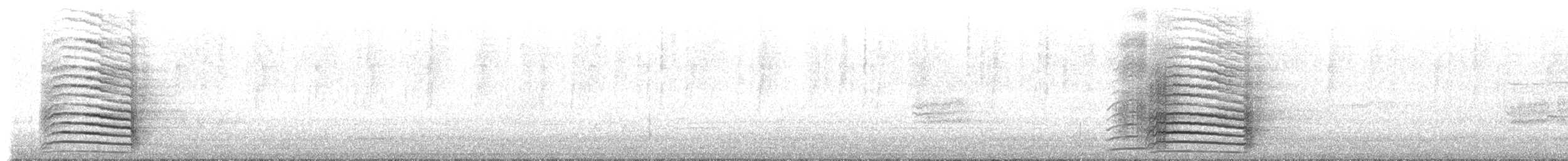 Küçük Korella Kakadusu - ML649483676