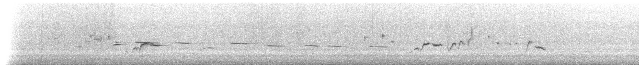 Güdük Gagalı Akantiz - ML649483688