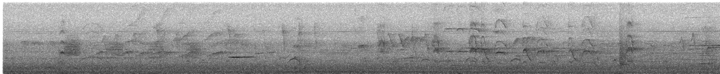 Büyük Kiskadi Tiranı - ML649484009