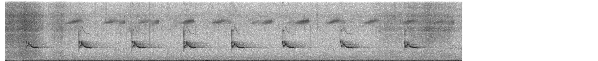 Karolina Çıtkuşu - ML649484169