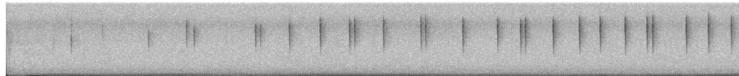 Anna Kolibrisi - ML649484209