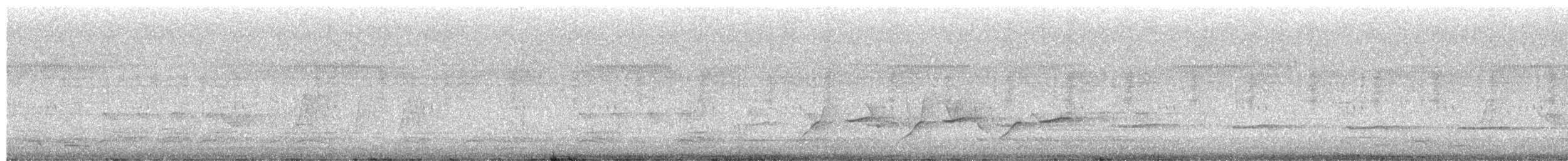 Sahul Çalı Guguğu - ML649484451