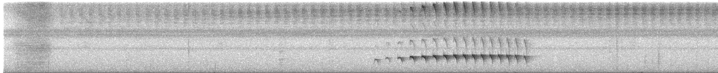 İsrengi Karıncakuşu - ML649484481