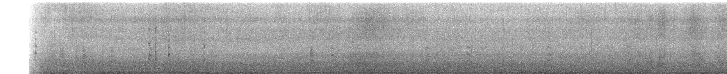 シラオネッタイチョウ（catesbyi） - ML649485715