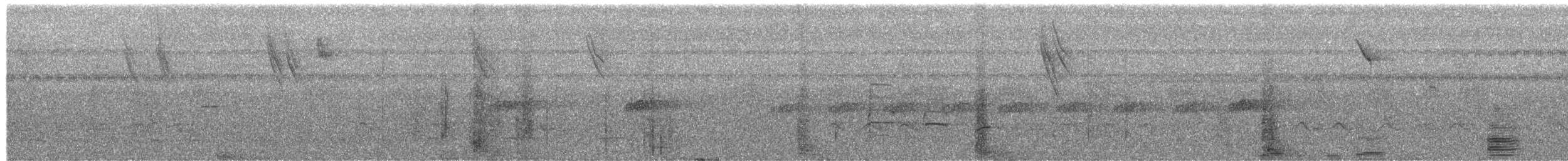 Blue Dacnis - ML649488301