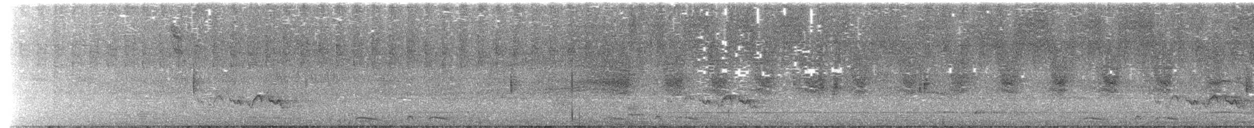 Tortolita Escamosa - ML649488517