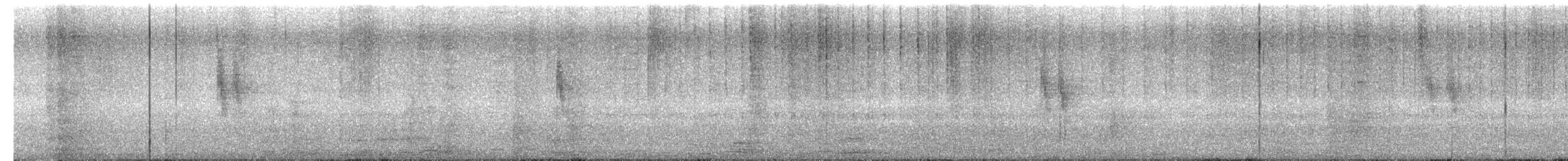 Lavandera Blanca - ML649488597