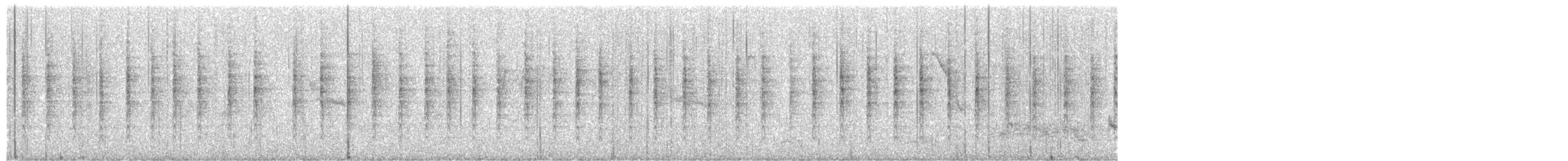 Buscarla Lanceolada - ML649488810