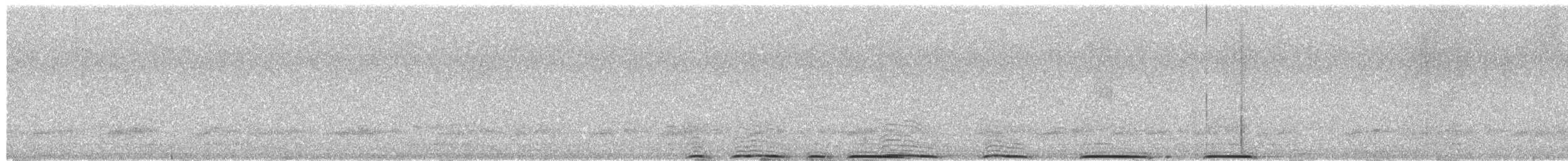 Búho Americano - ML649488873