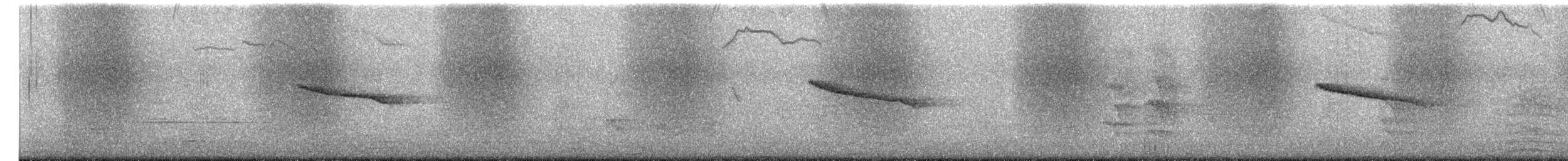 Shama Oriental - ML649488951