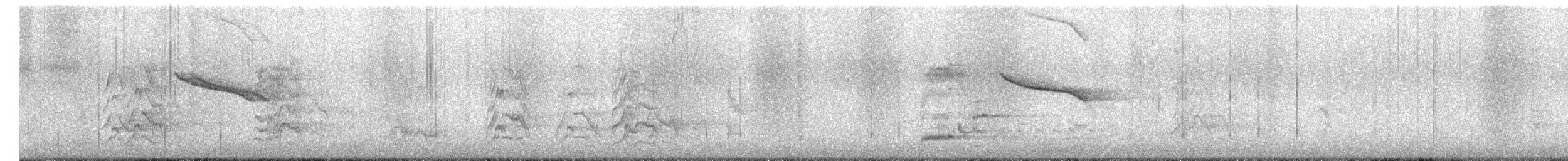 Shama Oriental - ML649488952