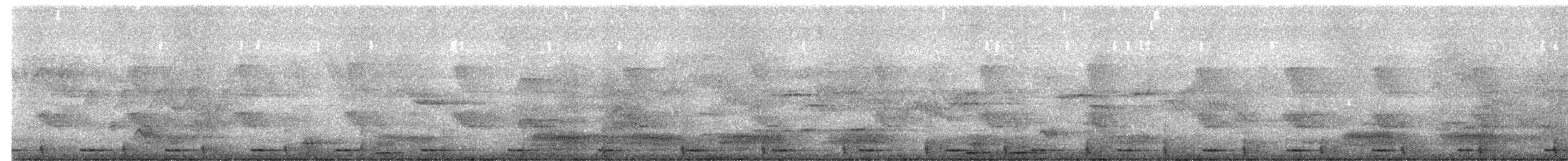 Barbudo Calderero - ML649489122