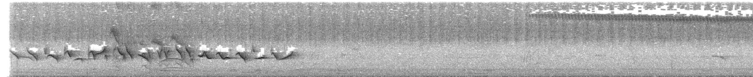 Semillero Curió - ML649489123