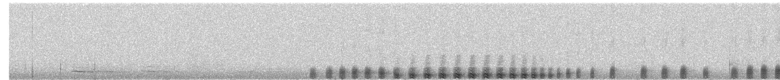 Cárabo Bataraz - ML649489353