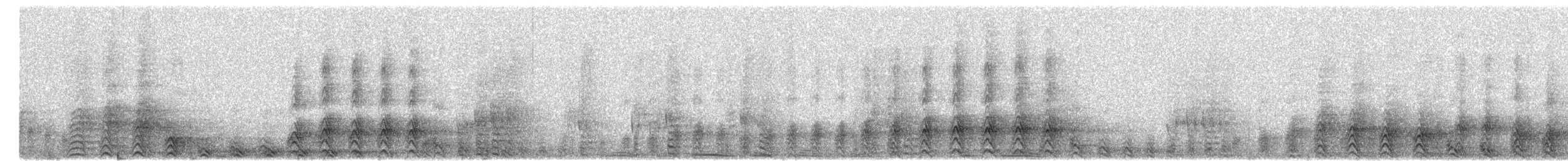 Cárabo Bataraz - ML649489355