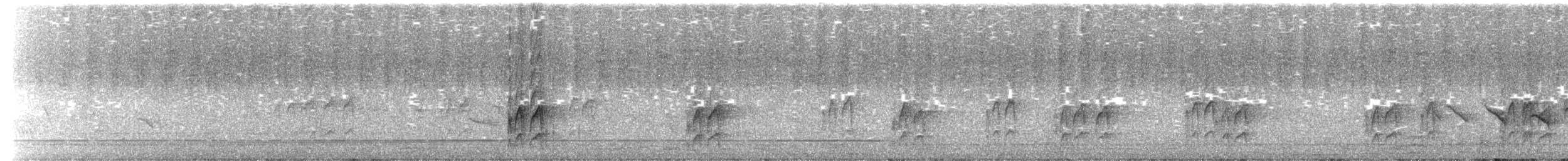 Carpintero Arcoiris - ML649489380