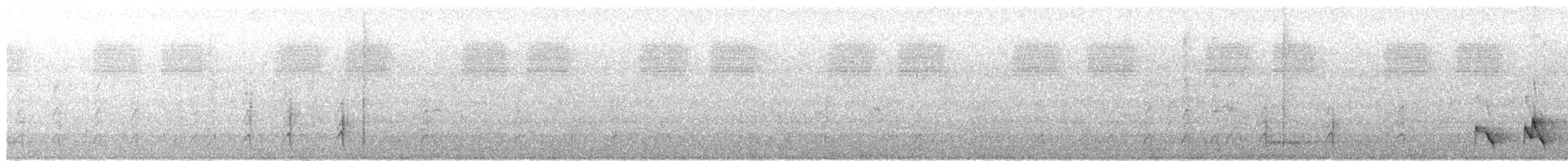 White-eared Honeyeater - ML649489480