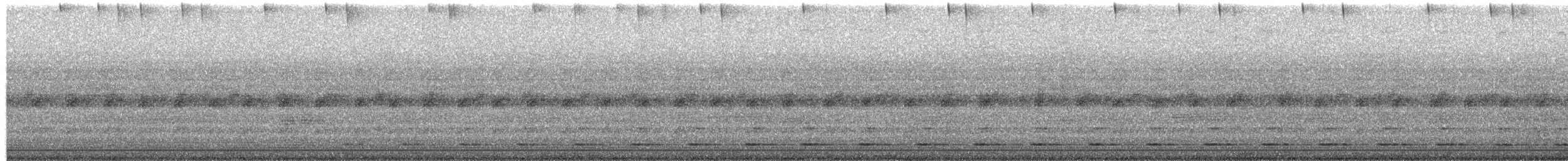 Ferruginous Pygmy-Owl - ML649489863