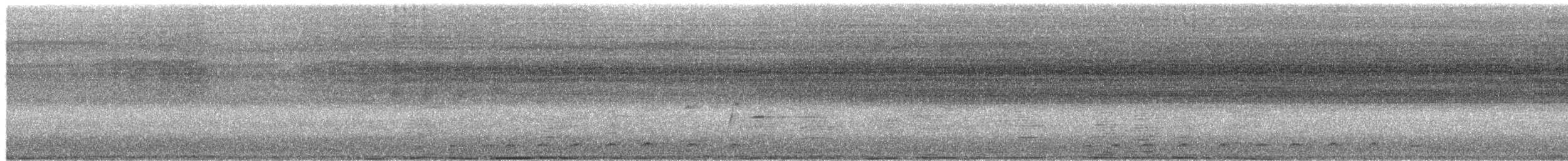 Pale-vented Bush-hen - ML649489939