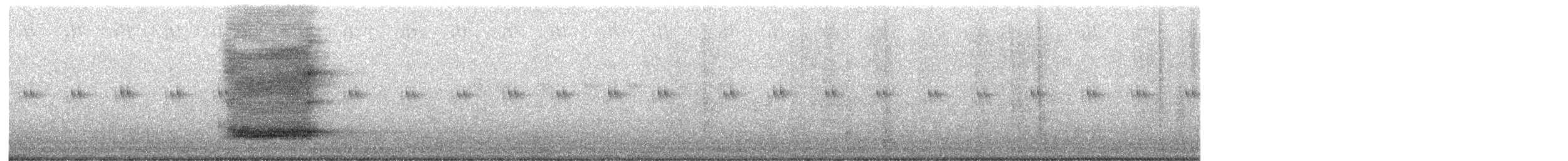 American Barn Owl - ML649489999