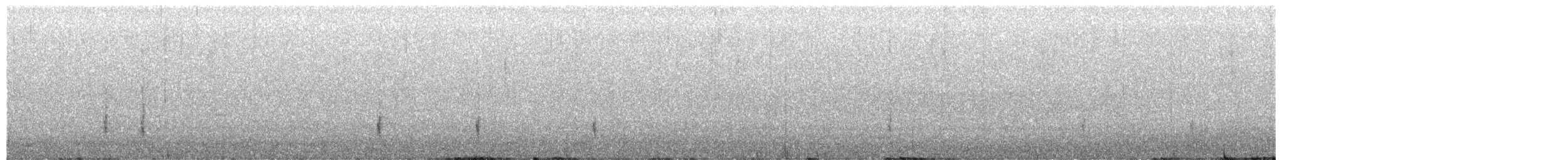 Hermit Thrush - ML649490181