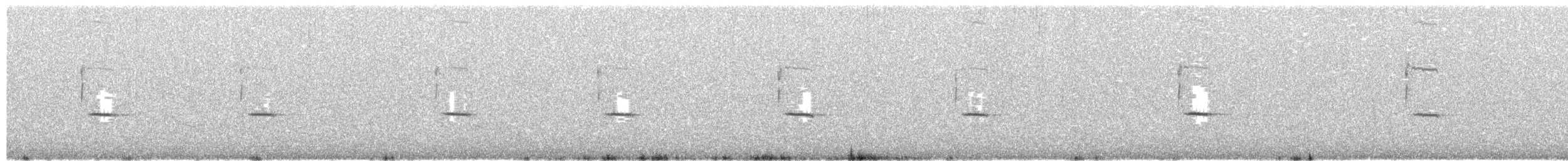 Black Honeyeater - ML649490676