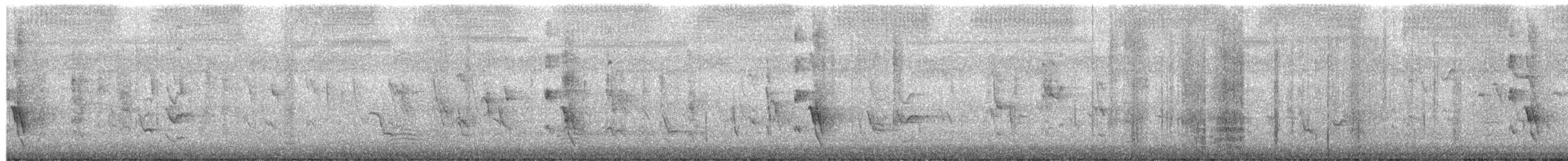 White-cheeked Honeyeater - ML649490724