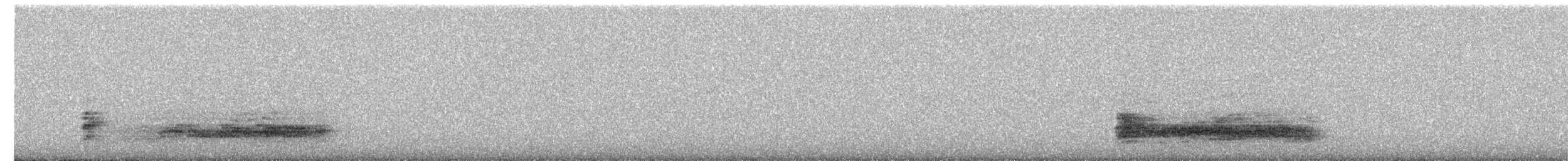 Eastern Barn Owl - ML649490773