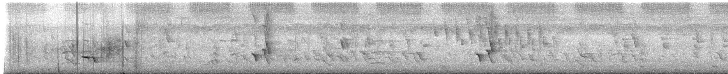 White-cheeked Honeyeater - ML649490785